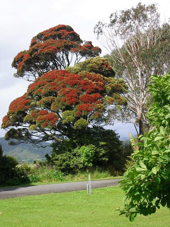 Karamea Holiday Park ภายนอก รูปภาพ